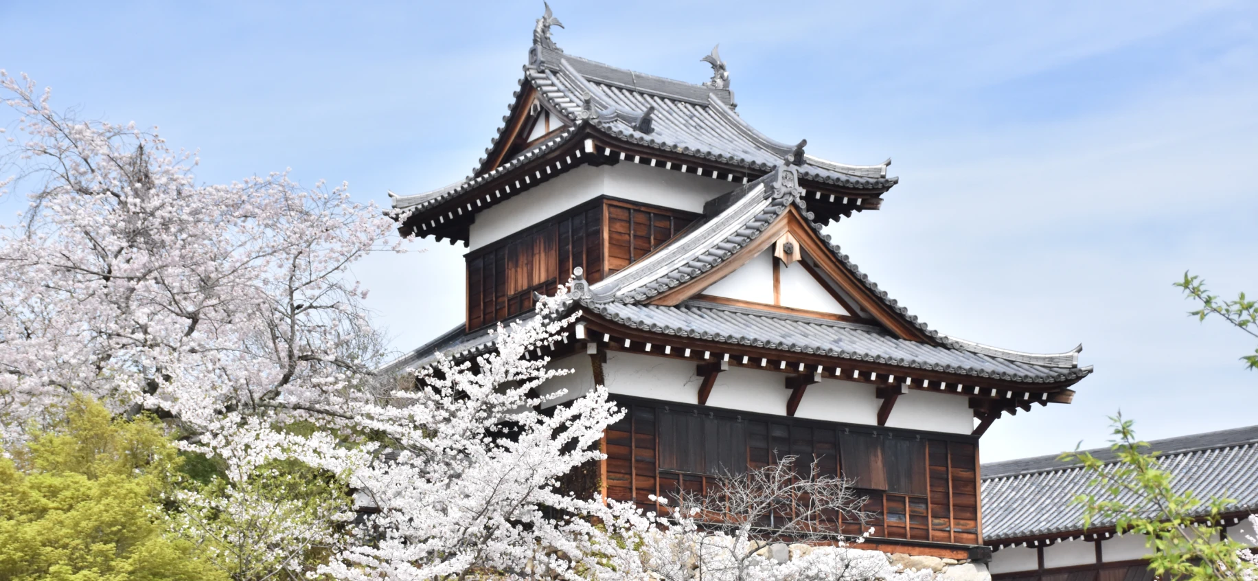 郡山城の写真